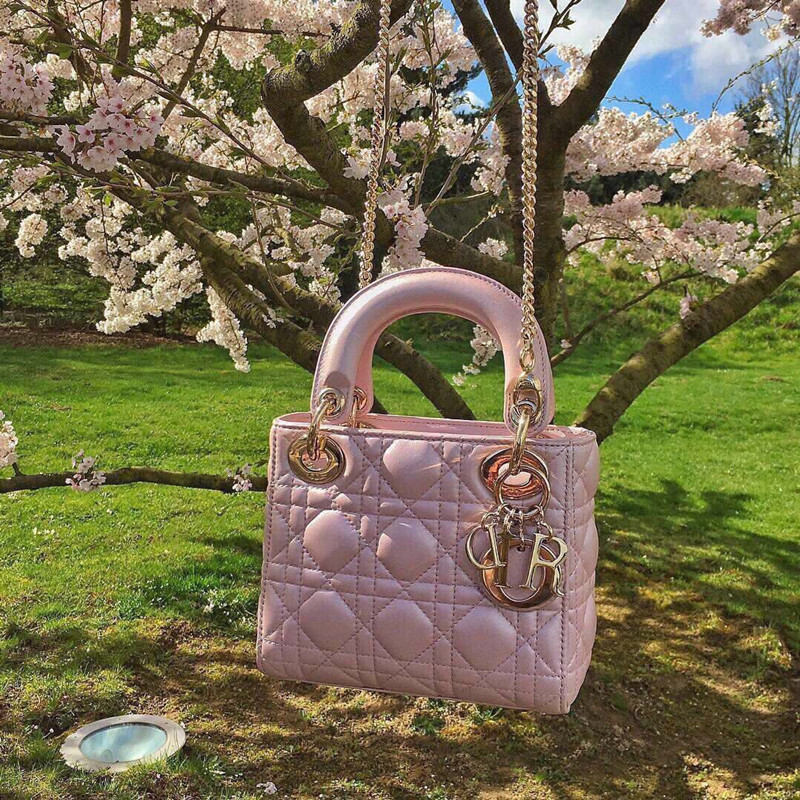 レディディオール ミニバッグ ショルダーバッグ 有名人 dior ハンドバッグ スーパーコピー 信用できるサイト レディディオール ミニバッグ ショルダーバッグ 有名人 dior ハンドバッグ スーパーコピー 信用できるサイト